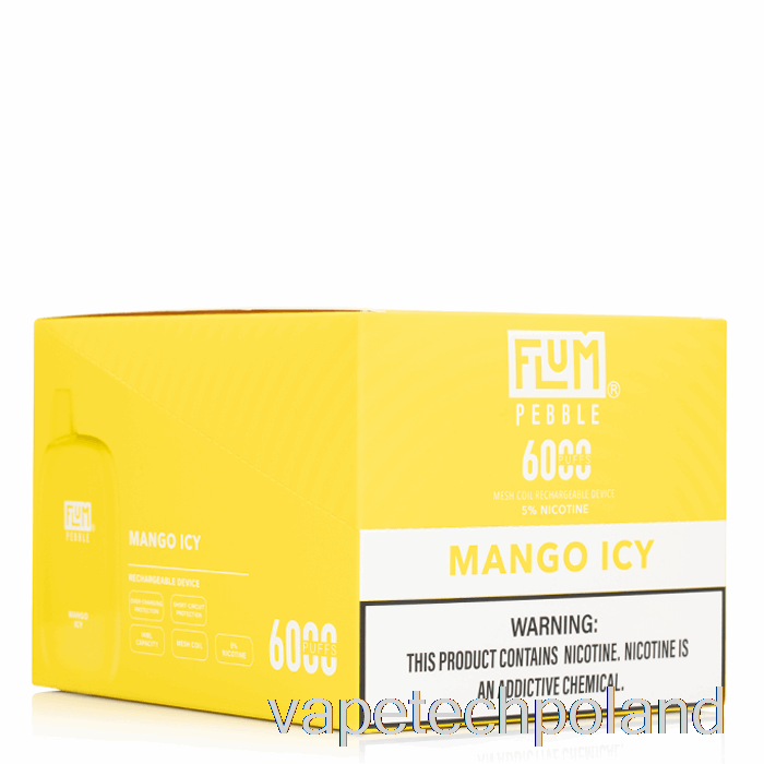 Vape Pod [10 Szt.] Flum Pebble 6000 Jednorazowego Użytku